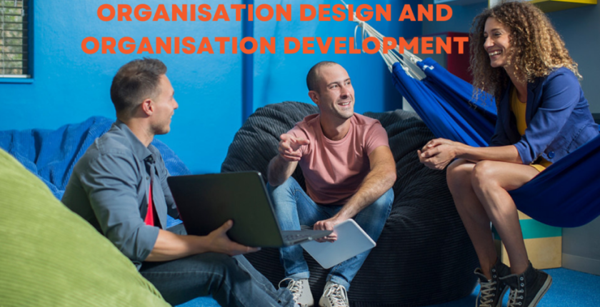 7ODD Organisation Design and Organisation Development