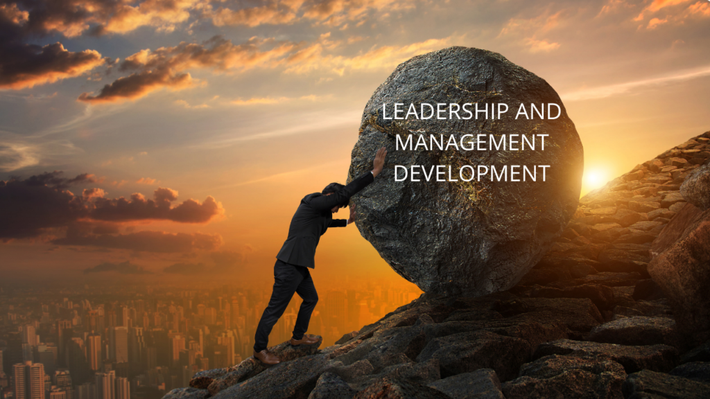 7LMD Leadership and Management Development