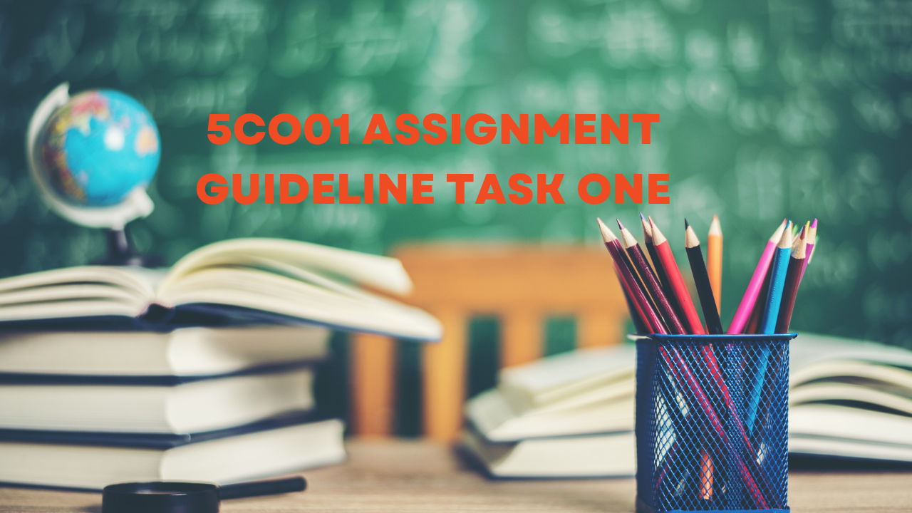 assignment guideline