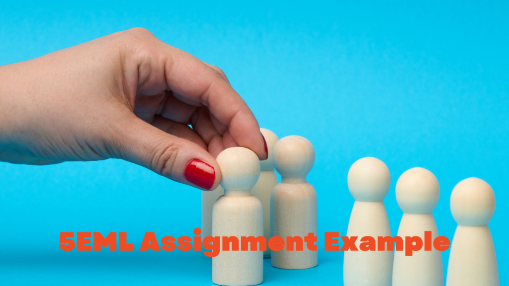 cipd 5eml assignment example