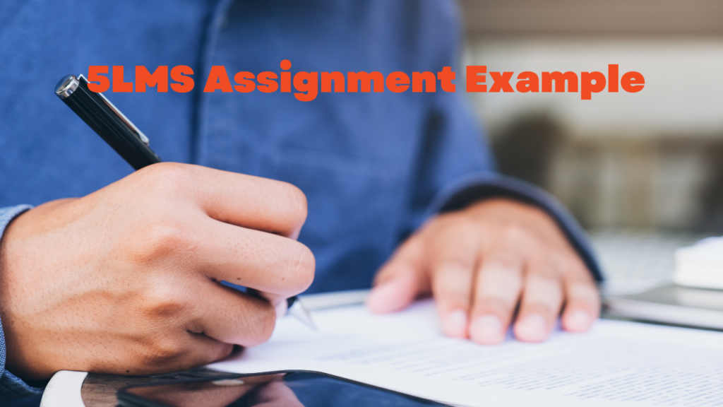 5LMS Assignment Example