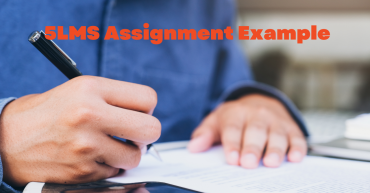 5LMS Assignment Example