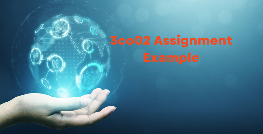 3co02 Assignment Example